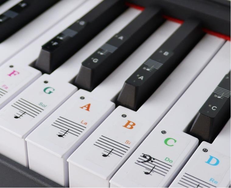 Etiqueta piano 49 teclas para principiantes