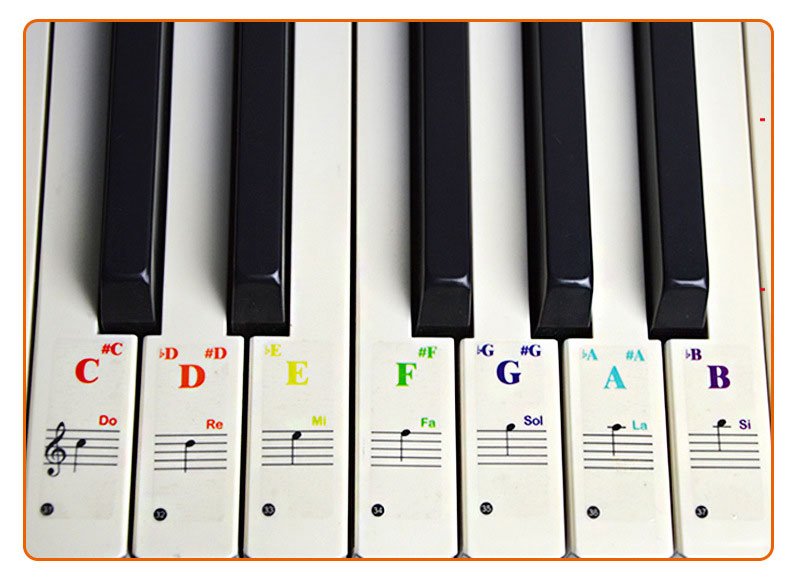 Etiqueta piano 61 teclas