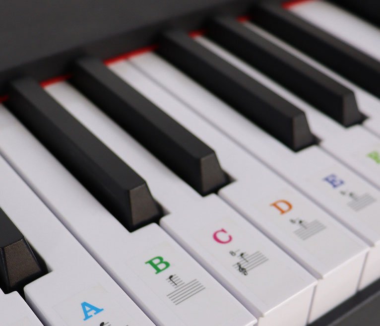 Set de etiquetas piano estándar 36-37 teclas